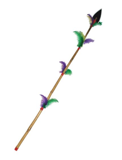 Δόρυ Ινδιάνου Με Φτερά 115cm